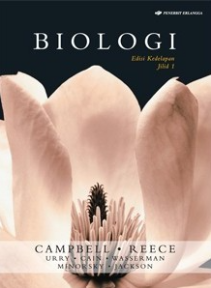 img-sampul