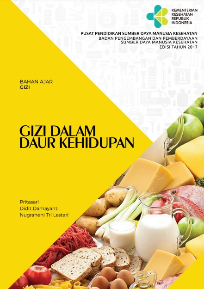 img-sampul