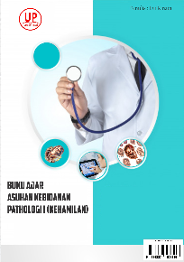 img-sampul