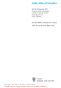 img-sampul