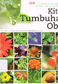 img-sampul